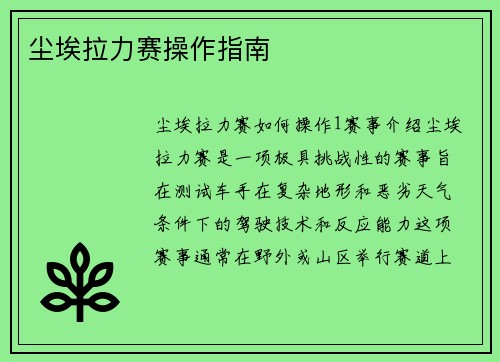 尘埃拉力赛操作指南